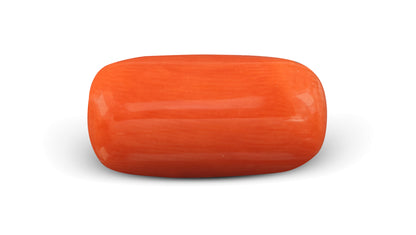Italian Red Coral (Moonga) 6.62 Carats / 7.27 Ratti