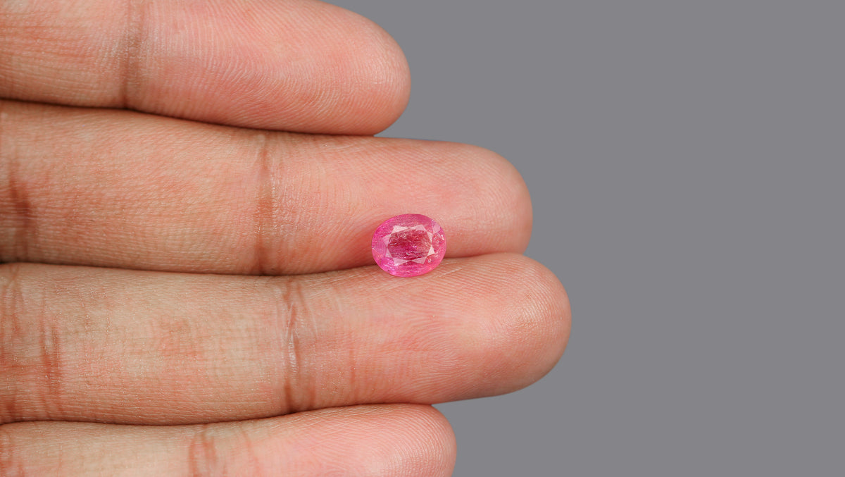 Burmese Ruby (Manik) 1.76 Carats / 1.93 Ratti