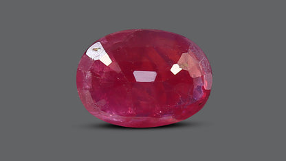 Mozambique Ruby (Manik) 1.66 Carats / 1.82 Ratti