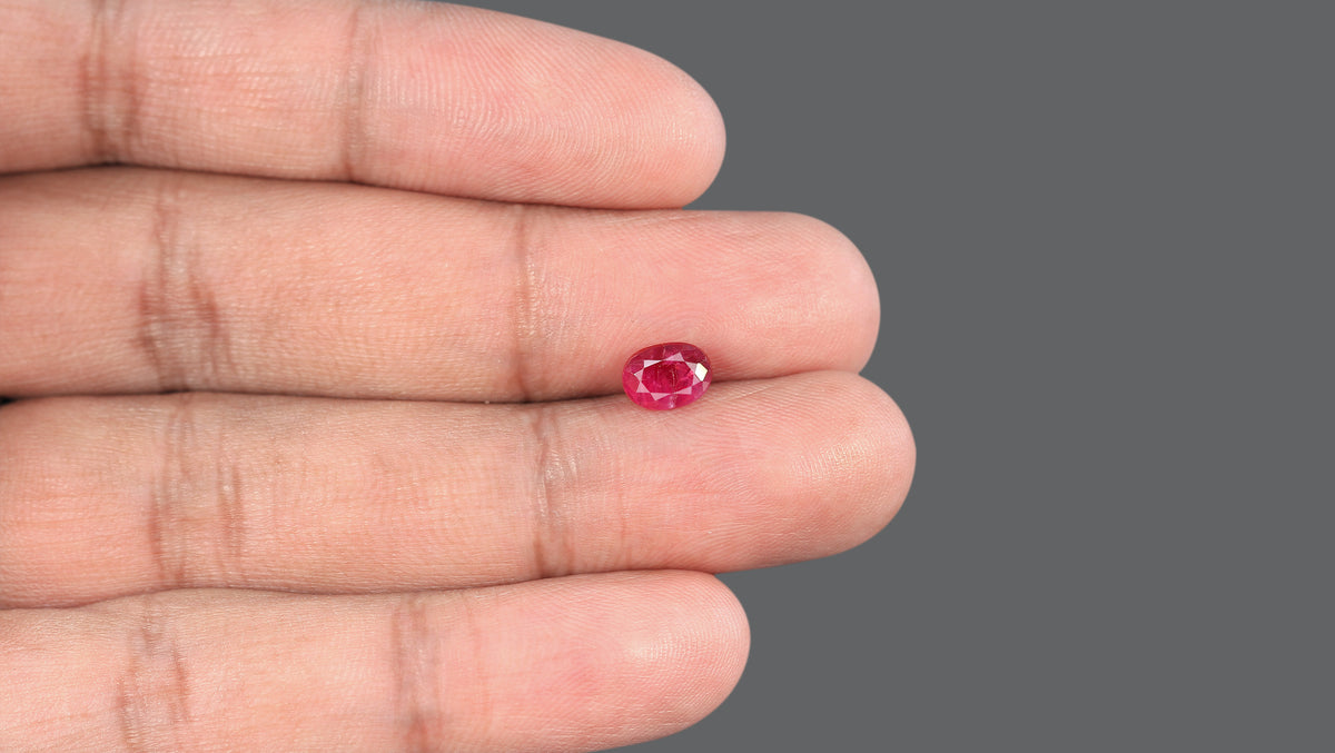 Mozambique Ruby (Manik) 1.66 Carats / 1.82 Ratti