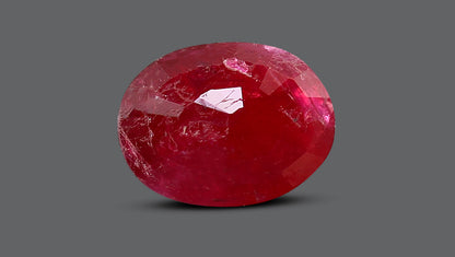 Mozambique Ruby (Manik) 1.60 Carats / 1.76 Ratti