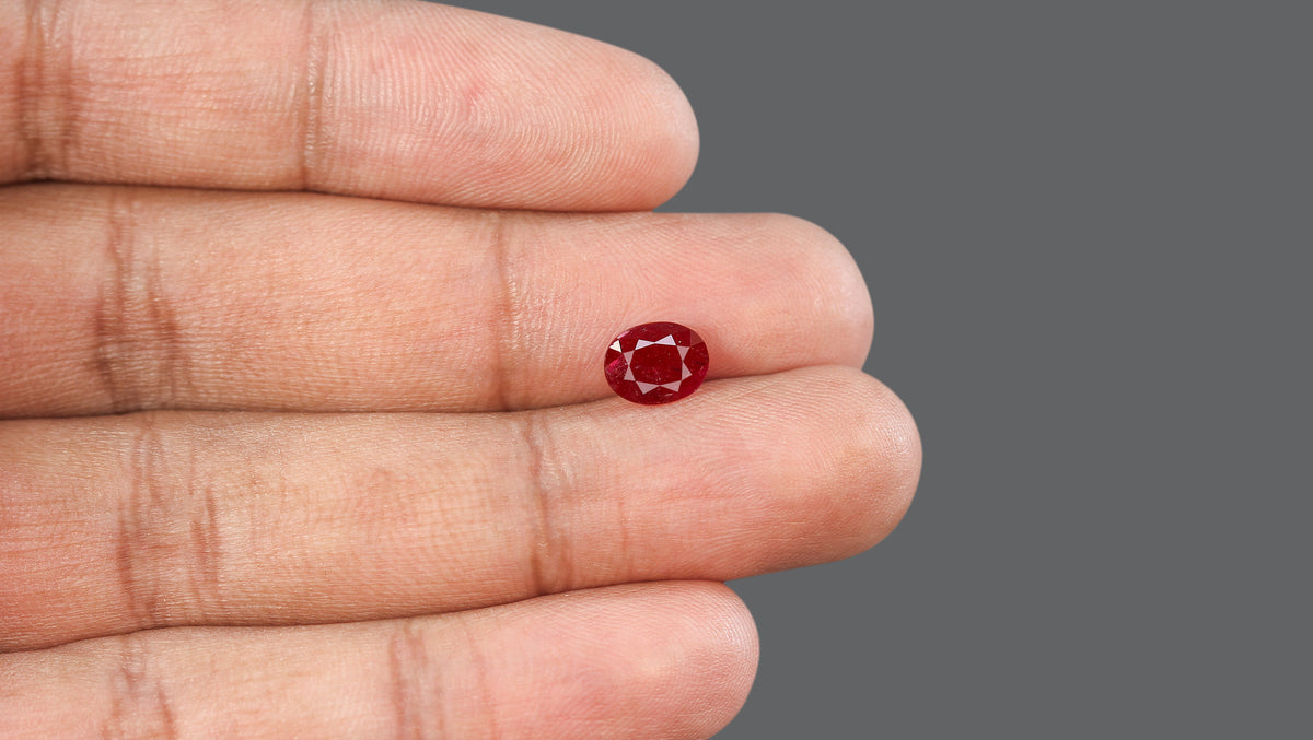 Mozambique Ruby (Manik) 1.60 Carats / 1.76 Ratti