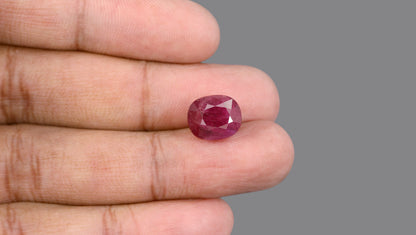 Madagascar Ruby (Manik) 10.23 Carats / 11.24 Ratti