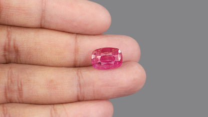 Burmese Ruby (Manik) 8.06 Carats / 8.86 Ratti
