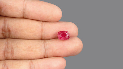 Madagascar Ruby (Manik) 5.51 Carats / 6.05 Ratti