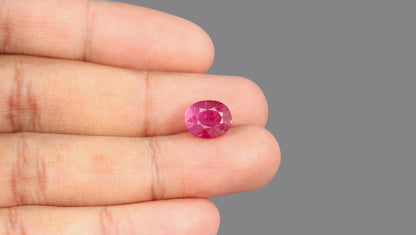 Madagascar Ruby (Manik) 6.33 Carats / 6.96 Ratti