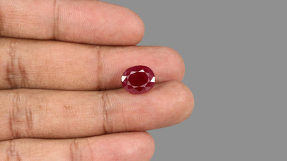 African Ruby (Manik) 6.55 Carats / 7.2 Ratti