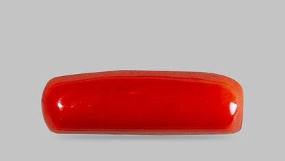Italian Red Coral 8.59 Carats / 9.44 Ratti
