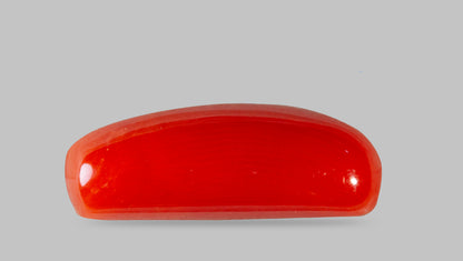 Italian Red Coral 8.81 Carats / 9.68 Ratti