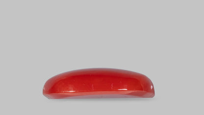 Japanese Red Coral 5.47 Carats / 6.01 Ratti