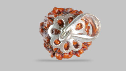 4 MUKHI RUDRAKSHA (18.40 mm)