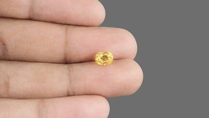 Natural Yellow Sapphire 2.31 Carats / 2.54 Ratti
