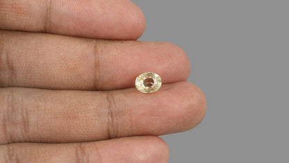 Natural Yellow Sapphire 2.63 Carats / 2.89 Ratti