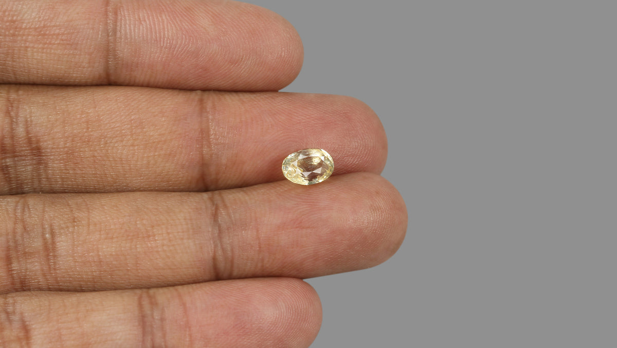 Natural Yellow Sapphire 2.49 Carats / 2.74 Ratti