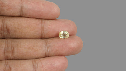 Natural Yellow Sapphire 2.74 Carats / 3.01 Ratti