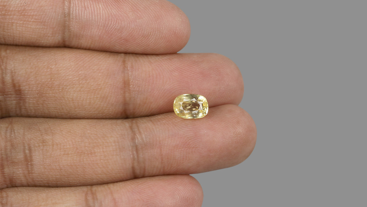 Natural Yellow Sapphire 2.74 Carats / 3.01 Ratti