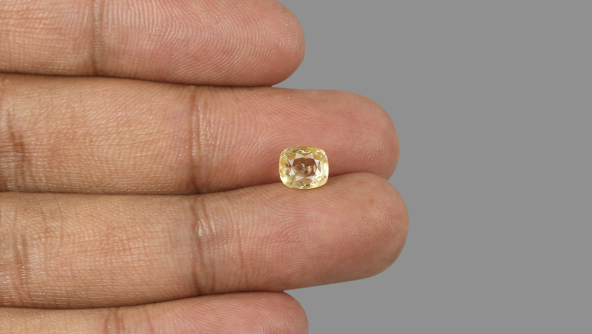 Natural Yellow Sapphire 2.44 Carats / 2.68 Ratti