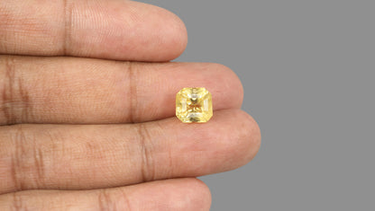 Natural Yellow Sapphire 5.59 Carats / 6.14 Ratti