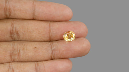 Natural Yellow Sapphire (Pukhraj) 3.74 Carats / 4.11 Ratti