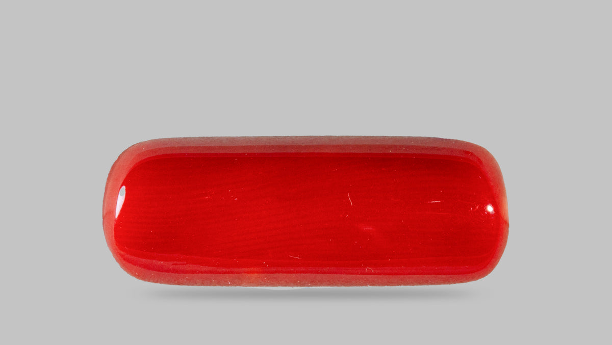 Italian Red Coral 8.46 Carats / 9.3 Ratti