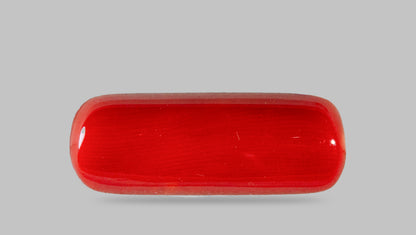 Italian Red Coral 8.46 Carats / 9.3 Ratti