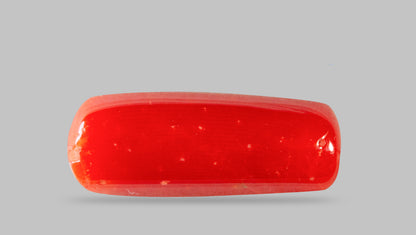 Italian Red Coral 7.88 Carats / 8.66 Ratti