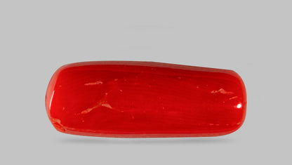 Italian Red Coral 7.71 Carats / 8.47 Ratti