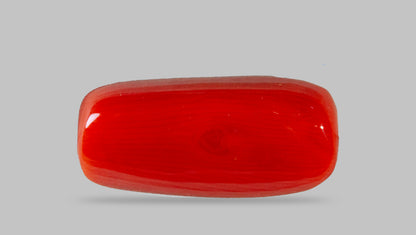 Italian Red Coral 8.65 Carats / 9.51 Ratti