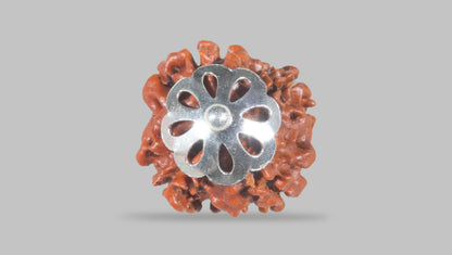 4 MUKHI RUDRAKSHA (17.36 mm) / 10.18 Ratti