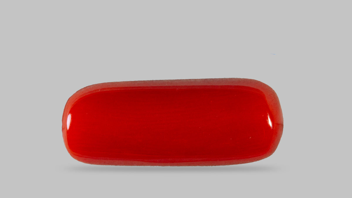 Italian Red Coral 7.06 Carats / 7.76 Ratti