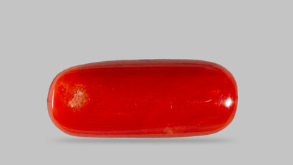 Italian Red Coral 7.73 Carats / 8.49 Ratti