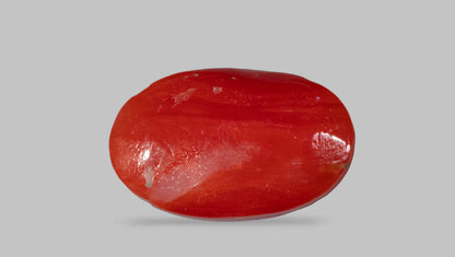 Japanese Red Coral 5.58 Carats / 6.13 Ratti