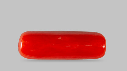 Italian Red Coral 7.30 Carats / 8.02 Ratti