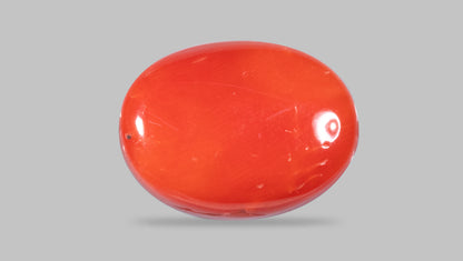 Italian Red Coral 12.22 Carats / 13.43 Ratti