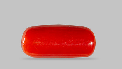 Italian Red Coral 8.07 Carats / 8.87 Ratti