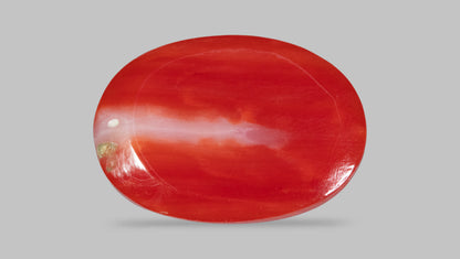 Japanese Red Coral 5.47 Carats / 6.01 Ratti