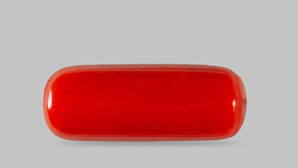 Italian Red Coral 8.40 Carats / 9.23 Ratti