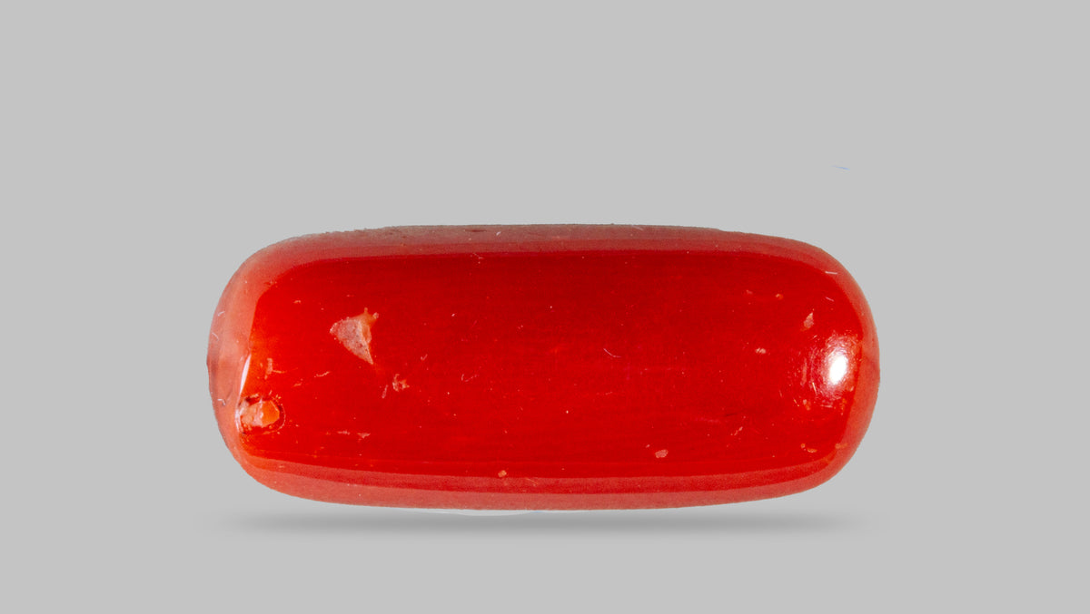 Italian Red Coral 8.39 Carats / 9.22 Ratti