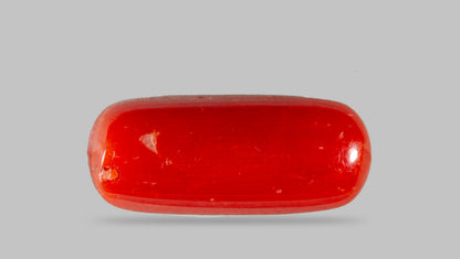 Italian Red Coral 8.39 Carats / 9.22 Ratti