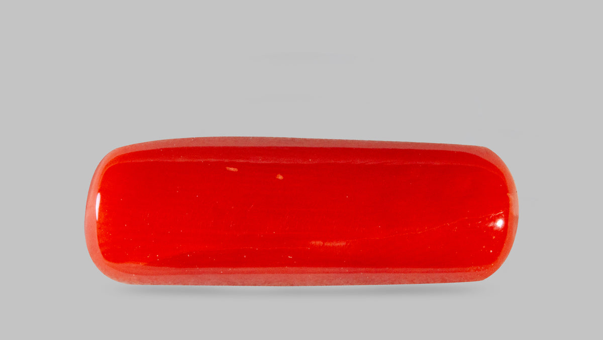 Italian Red Coral 7.69 Carats / 8.45 Ratti