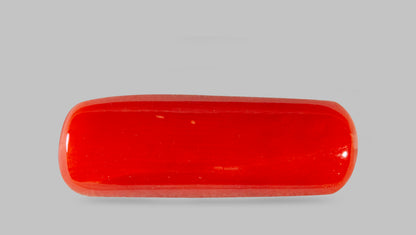 Italian Red Coral 7.69 Carats / 8.45 Ratti