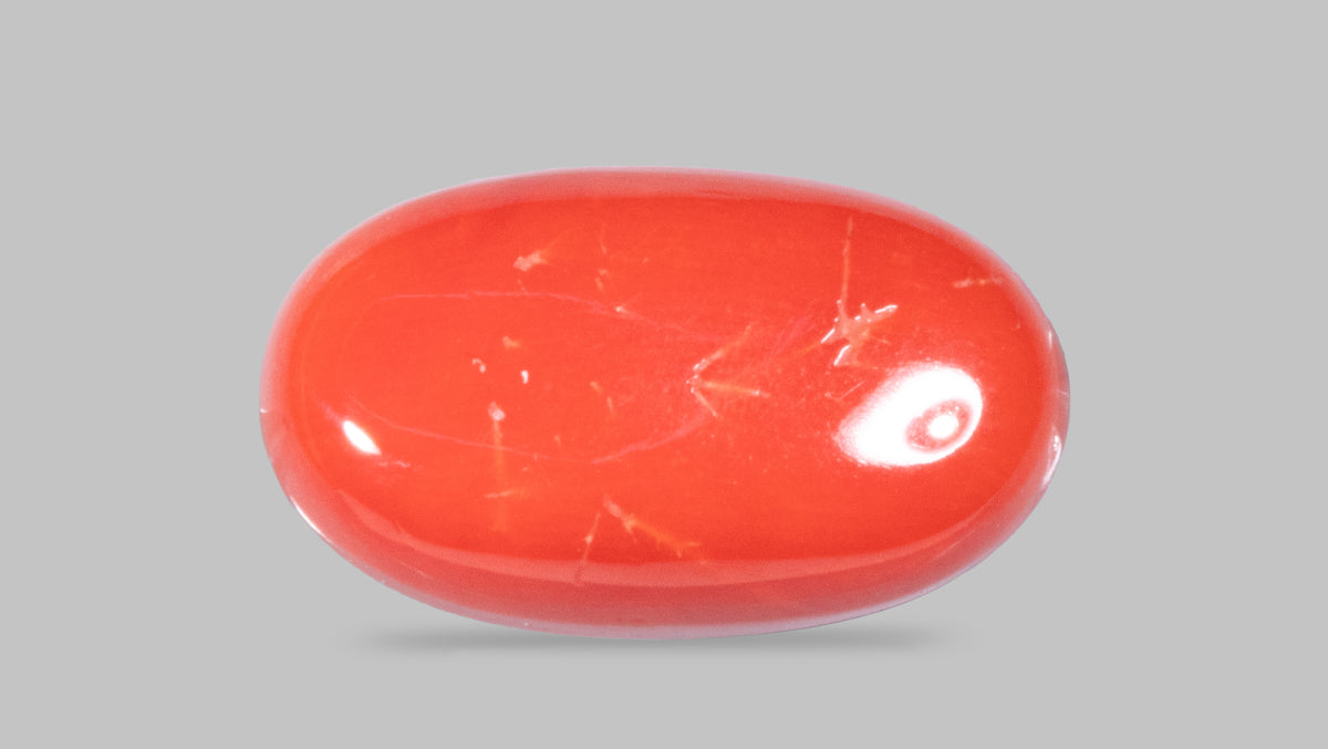 Italian Red Coral 11.50 Carats / 12.64 Ratti
