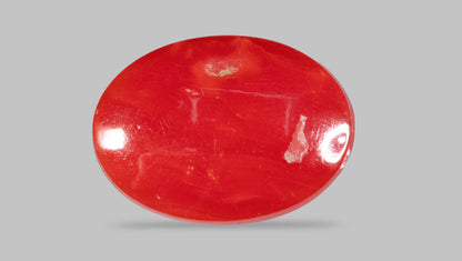 Japanese Red Coral 5.54 Carats / 6.09 Ratti
