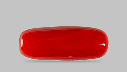 Italian Red Coral 7.87 Carats / 8.65 Ratti