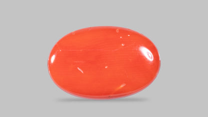 Italian Red Coral 12.24 Carats / 13.45 Ratti