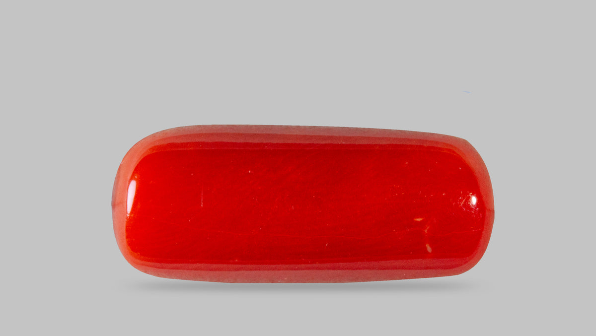 Italian Red Coral 7.61 Carats / 8.36 Ratti
