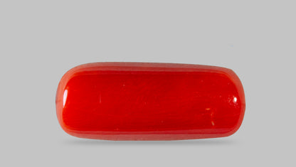 Italian Red Coral 7.61 Carats / 8.36 Ratti
