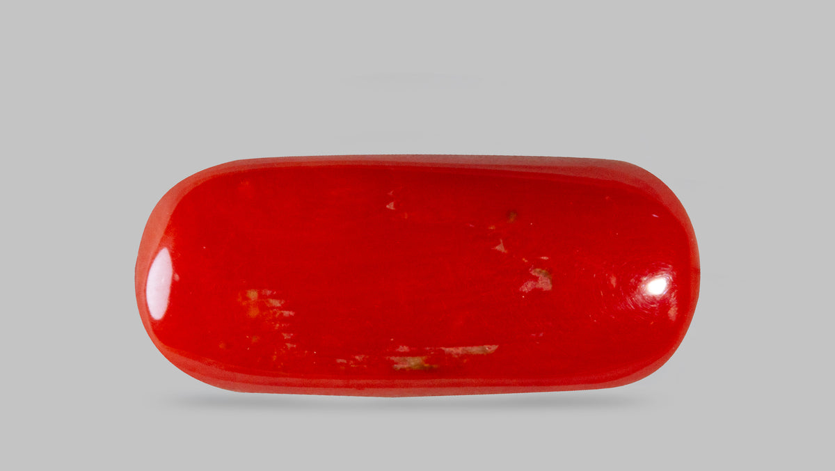 Italian Red Coral 8.28 Carats / 9.1 Ratti