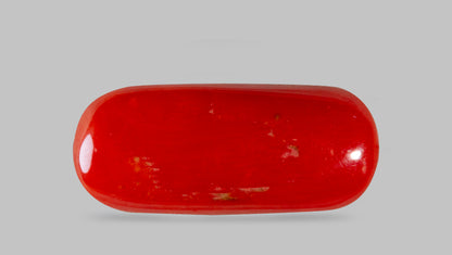 Italian Red Coral 8.28 Carats / 9.1 Ratti