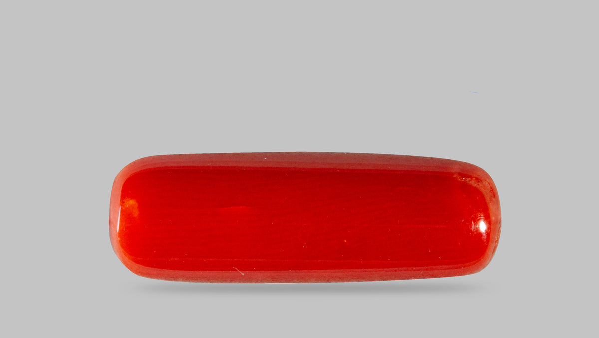 Italian Red Coral 7.29 Carats / 8.01 Ratti
